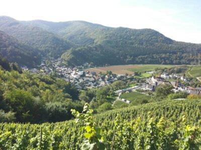 Apartment Ahrtal Vier Sterne Alexandra Weiler Harmonie Bad Neuenahr-Ahrweiler